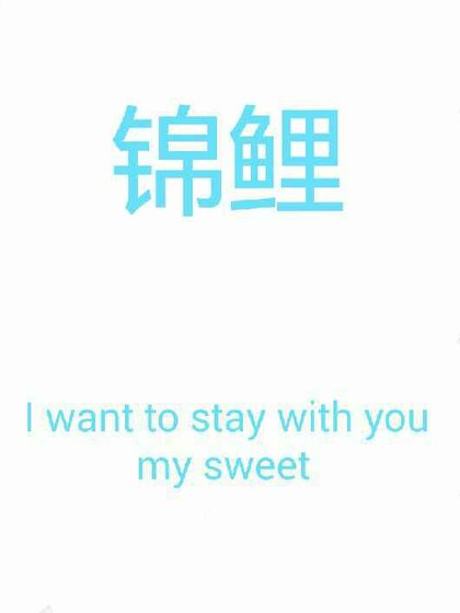 《錦鯉》