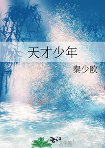 天才少年