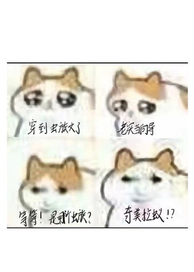 《穿到蟲族文,但是奇美拉蟻版》